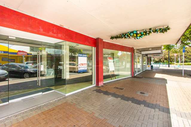 21 Clyde Road Browns Bay_1