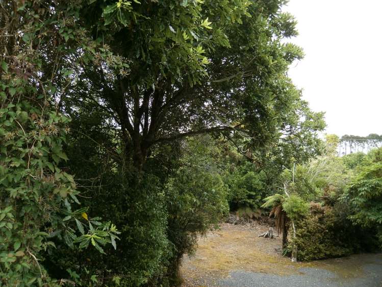 2483 Papatowai Highway Papatowai/Pounawea_13