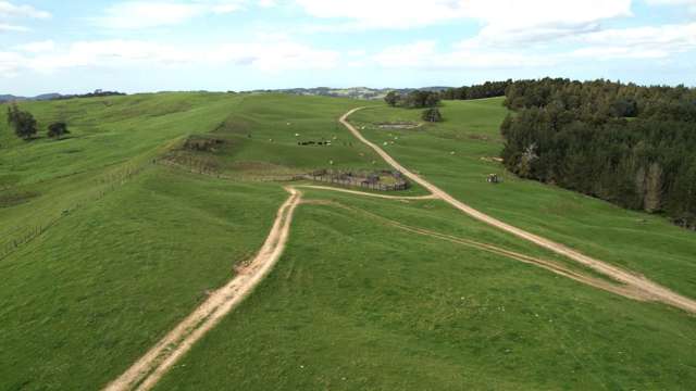 408ha Pakaraka Dairy/Beef Operation