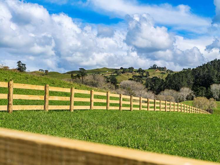 Lot 2,164C Crawford Road Te Puna_11