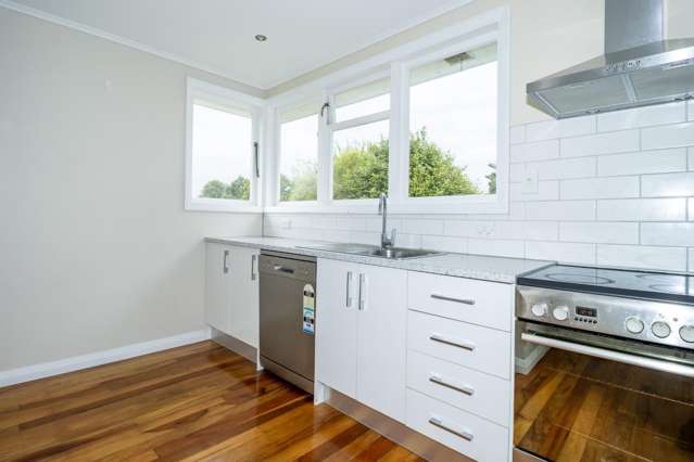 33 Galway Avenue Hokowhitu_3