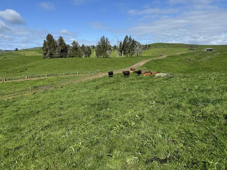 684 Maihiihi Road Otorohanga_6