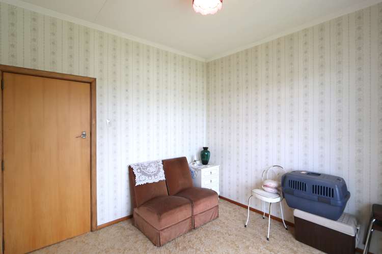 24 Harvey Street Grasmere_15