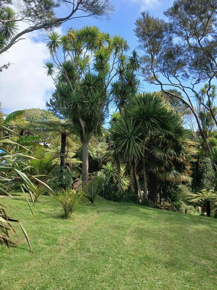 24 Lorenzen Bay Road Raglan_17