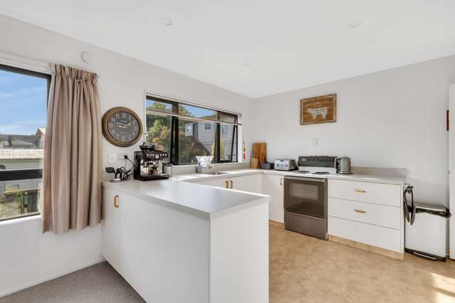 3 Piko Street Toi Toi_3