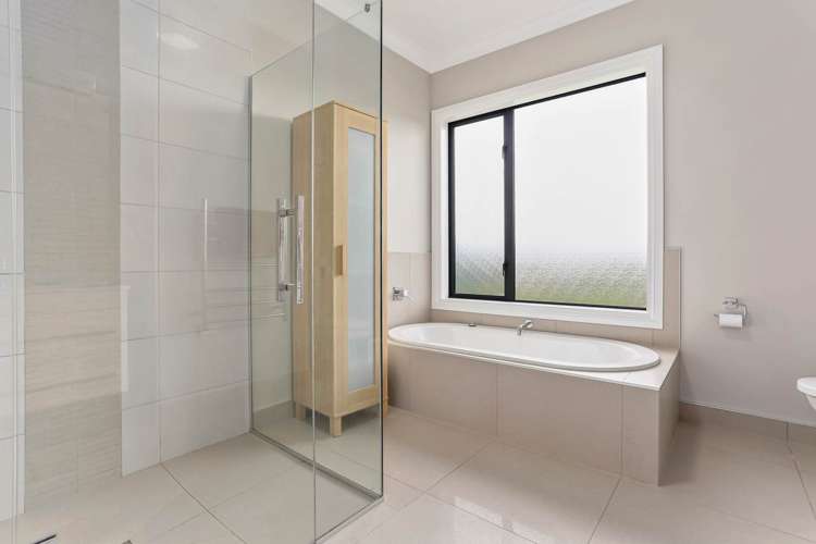 166J Postman Road Dairy Flat_21