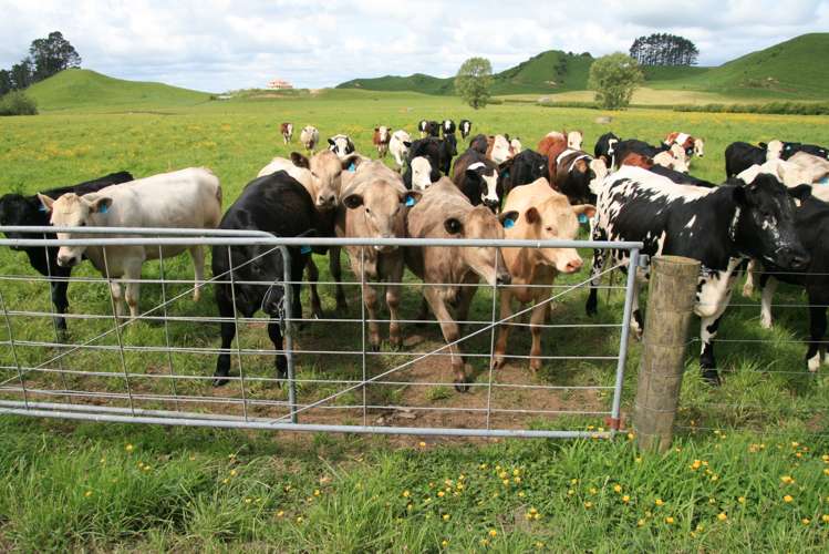 775 Bird Road Stratford_11