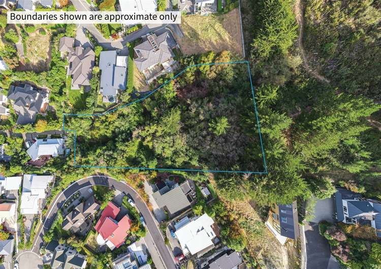 6 Plumwood Lane Cashmere_0