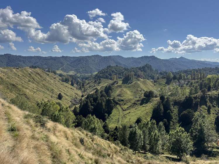 637 Makakahi Road Ruatiti_19