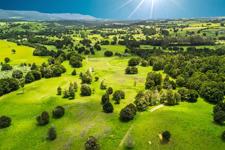 509B Mataraua Road Kaikohe_46