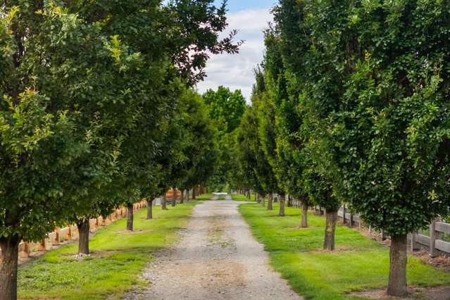 Lot Lot 2/53 Oak Lane Wanaka_1