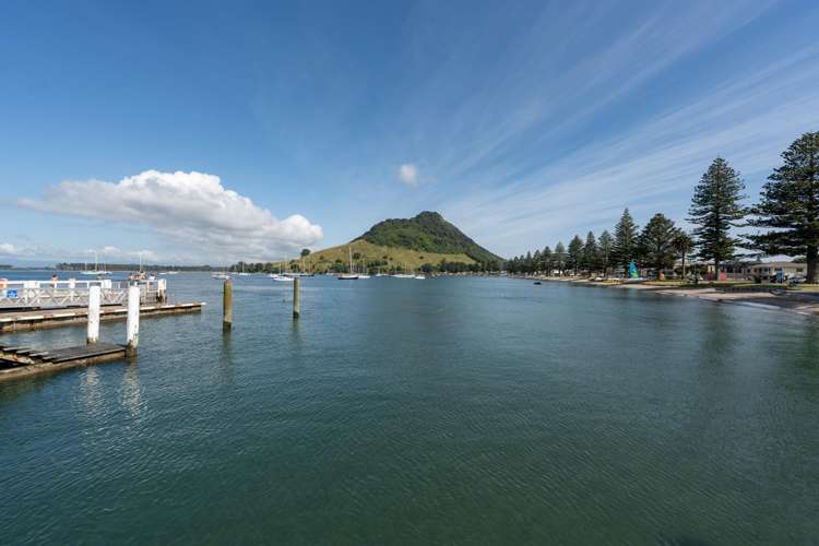 6/48 May Street Mount Maunganui_28