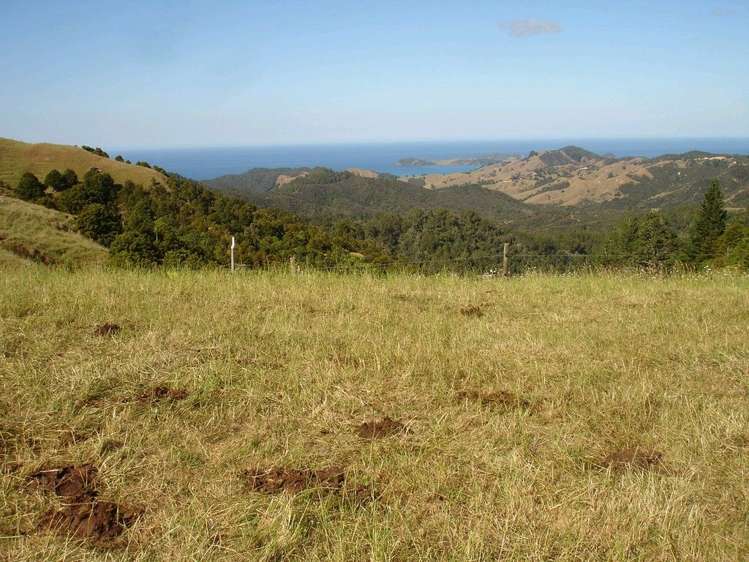 361 Kaiikanui Road Hukerenui and Surrounds_30