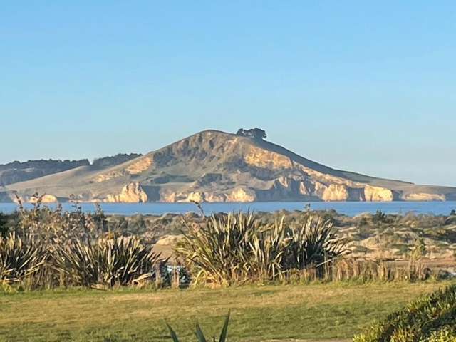 1391 Coast Road Karitane_2