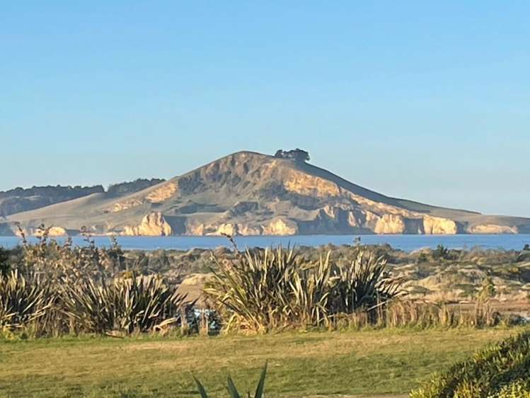 1391 Coast Road Karitane_2