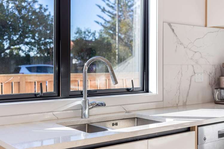 145 Astley Avenue New Lynn_6