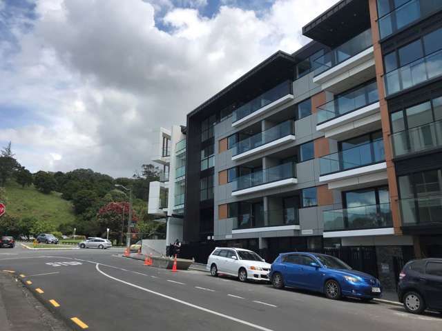 205/43 Edwin Street Mount Eden_1