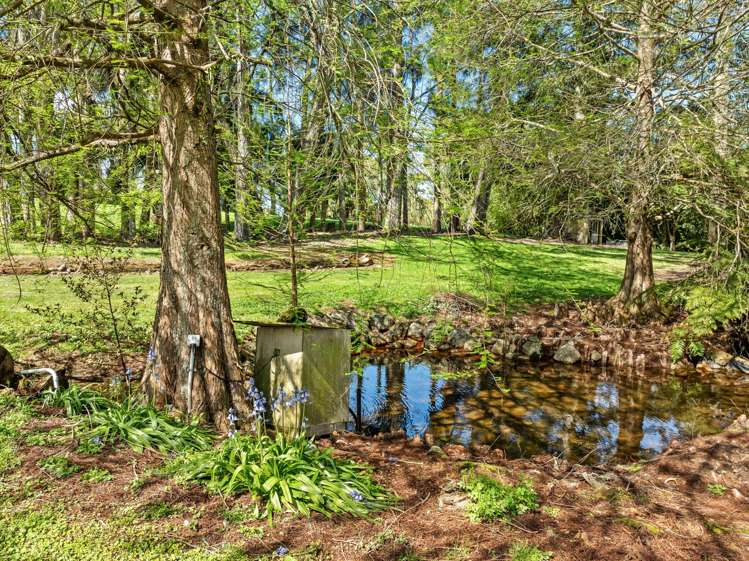 587C Crane Road Kauri_17