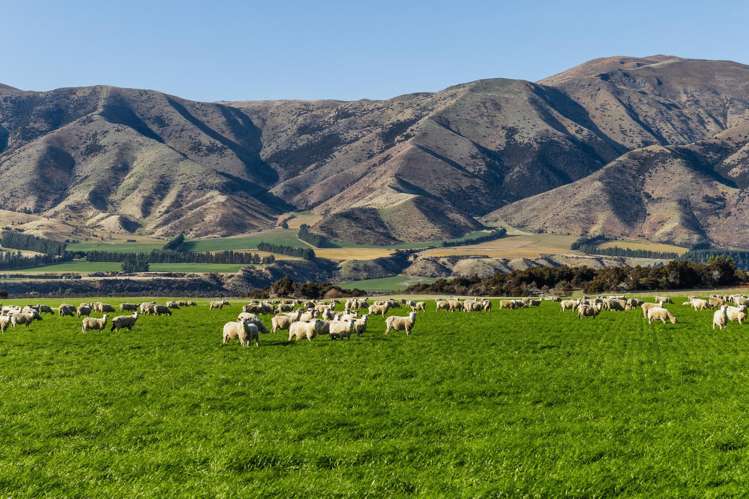 Lot 3, Northview Terraces Luggate_6