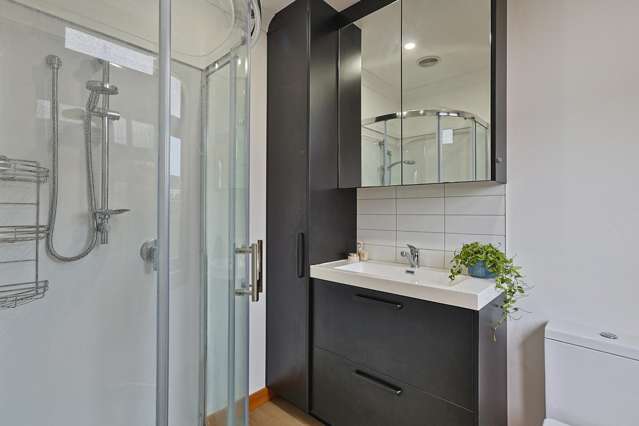 408 Alexandra Street Hastings_3