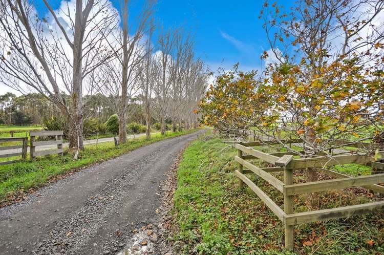 630 Kahikatea Flat Road Waitoki_11