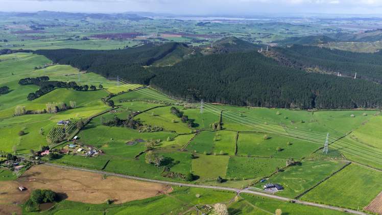 8 Mackay Road Maramarua Forest_14