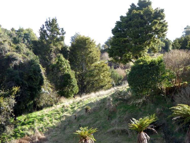 1278 Poihipi Road Oruanui_10