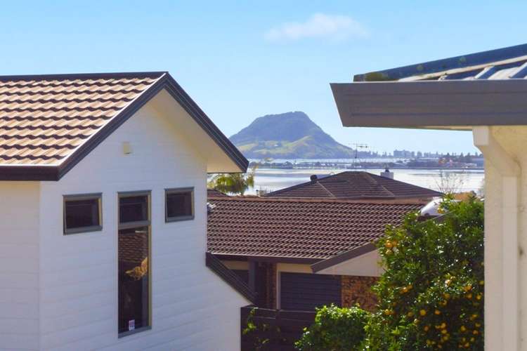 131B Edgecumbe Road Tauranga South_11