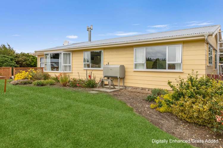 319 Collins Road Gore Surrounds_2