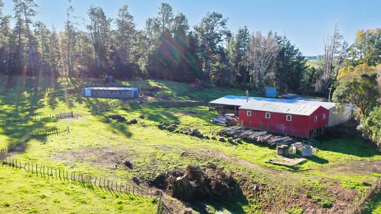 142 Pohokura Road (subdivision of) Tutira_29