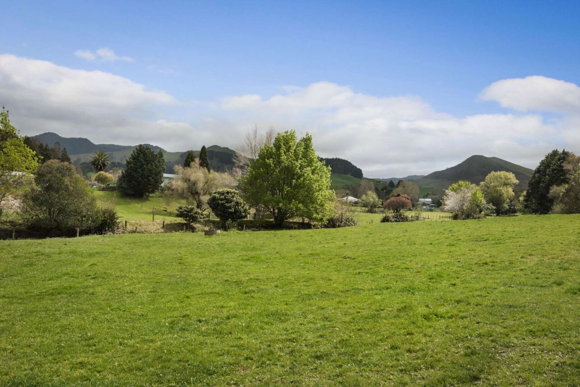 2 Buller Street Waihi_0
