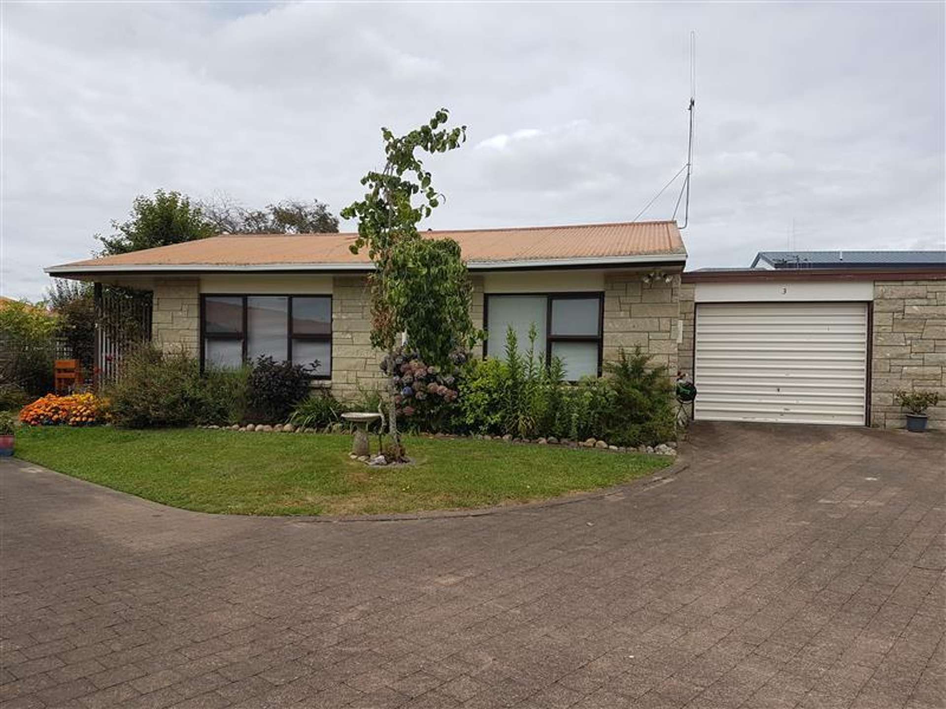 3/12 Buchanan Street Matamata_0