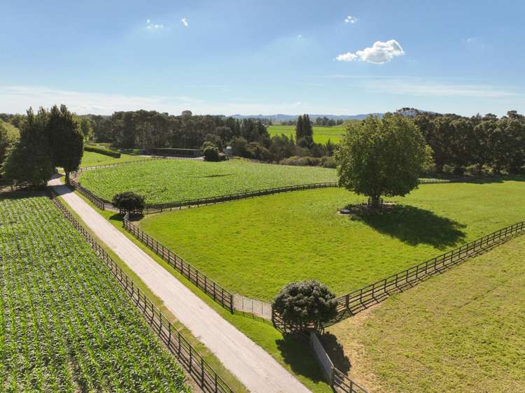 136 Wells Road Okoroire_32