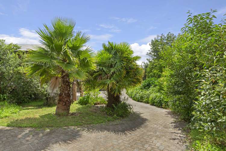 3664 State Highway 23 Raglan_36