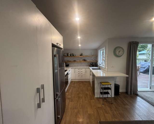 43 Longfellow Street Sydenham_3