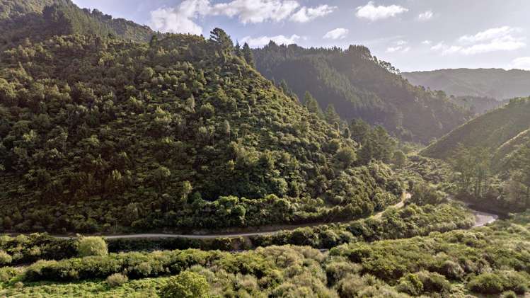 250 Pakihi Road Opotiki_50