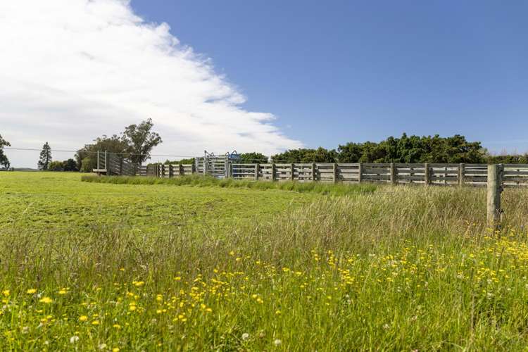 308 Arowhenua Road Timaru_5