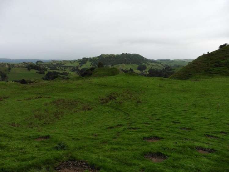 2837 State Highway 4 Aria_39