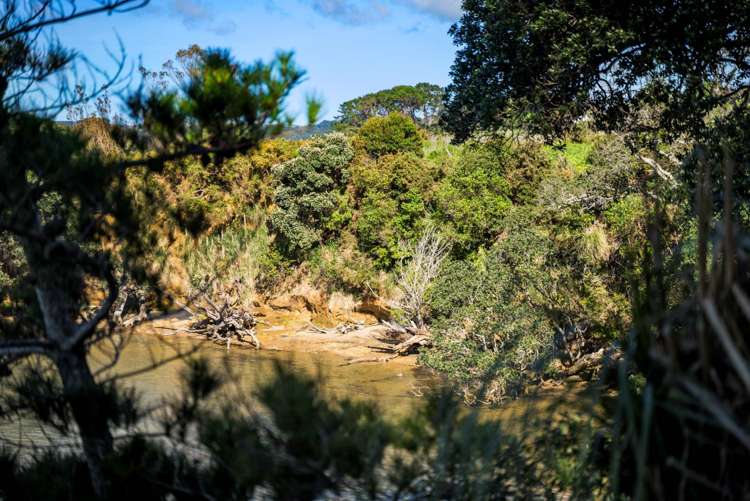 144 Kauri Road Awhitu_29