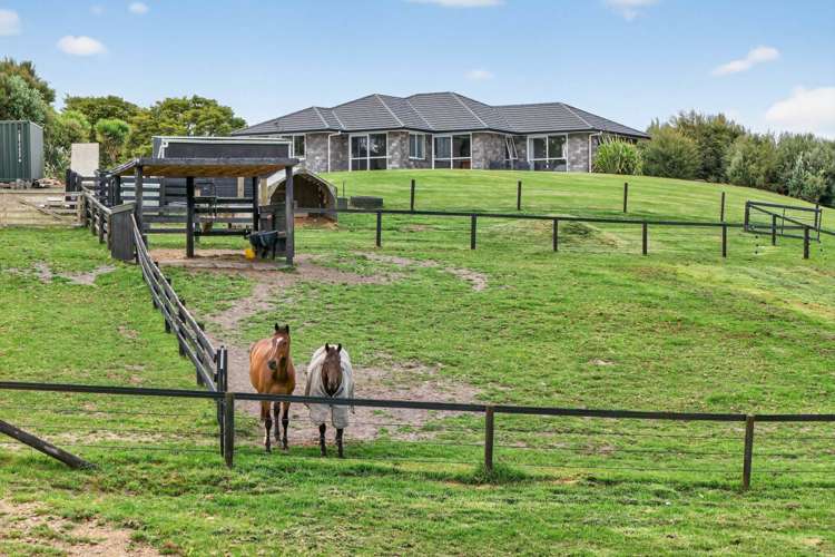 228 Knight Road Ruatangata West_19