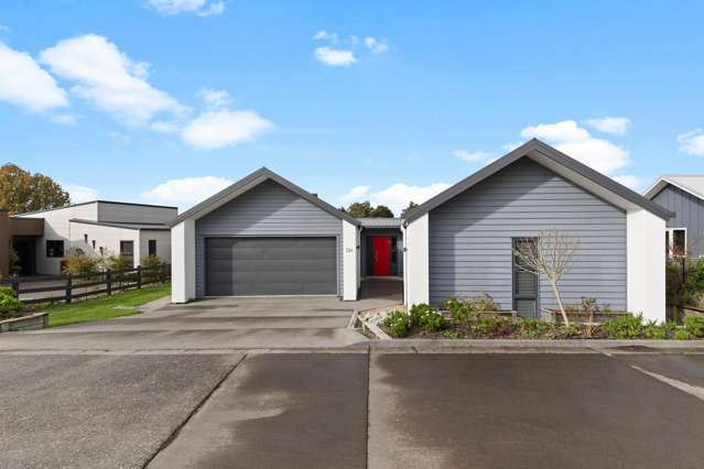 26b River View Road Morrinsville_2