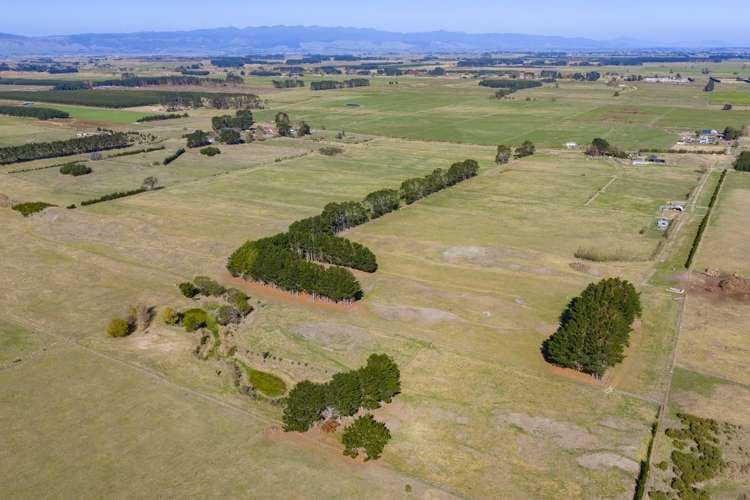 163 Downs Road Himatangi_15