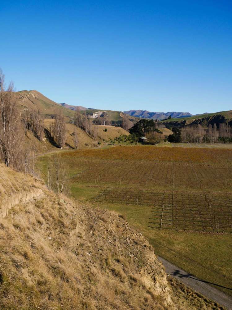 376 Ram Paddock Road Waipara_9