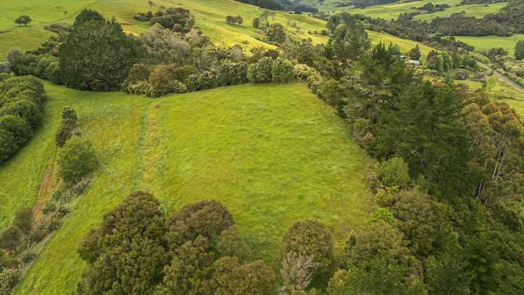 37 Kapowai Road Coroglen_45