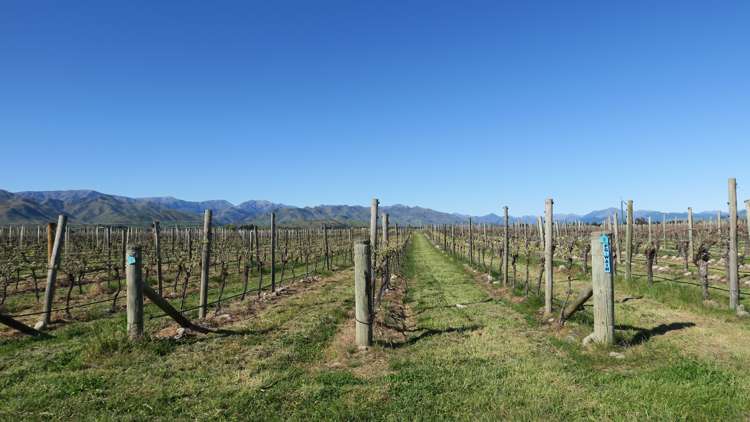 708 Waihopai Valley Road Waihopai Valley_23