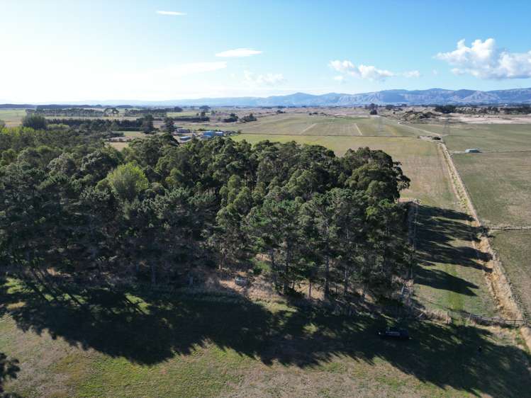 270 Motuiti Road Foxton_15