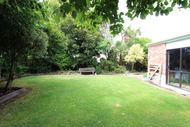 291 Tay Street Turnbull Thomson Park_17