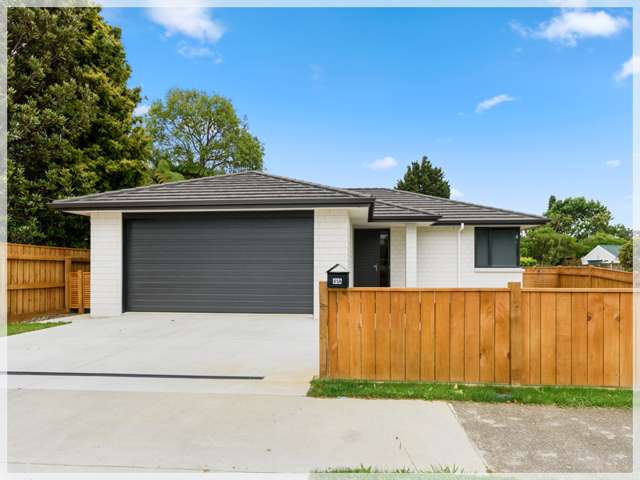 41 Queenwood Road Levin_1