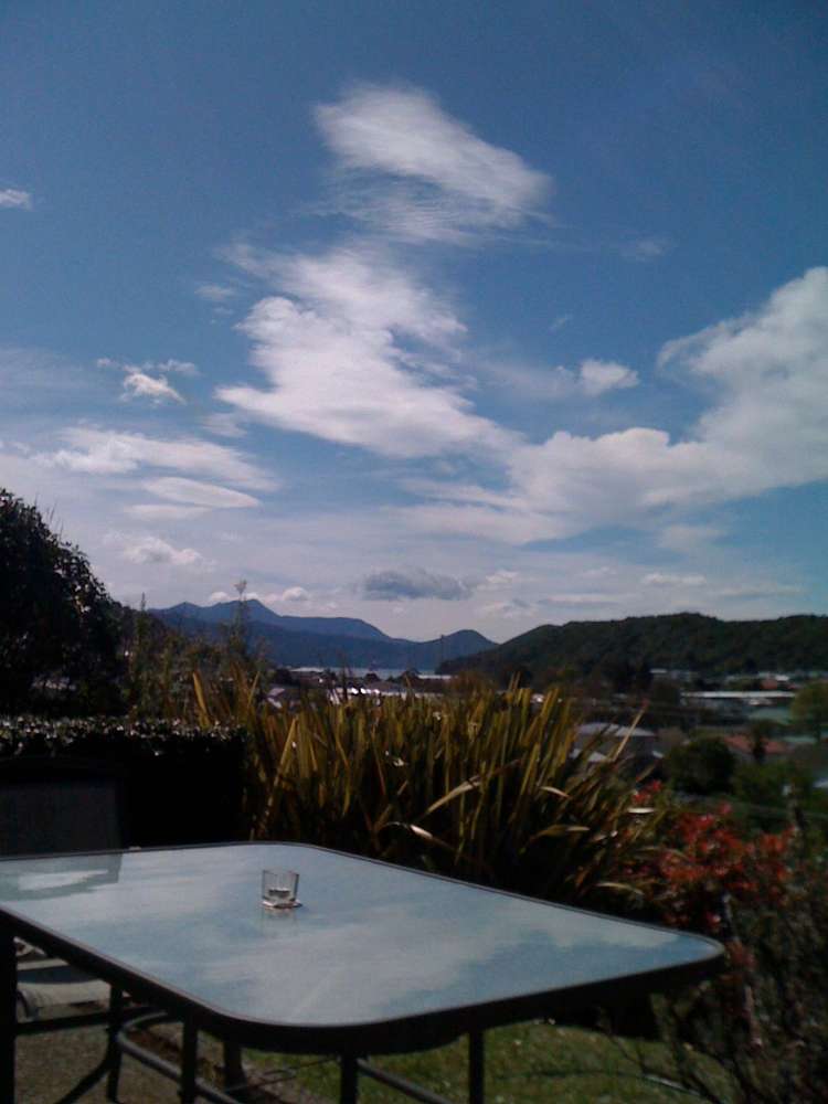 21 Durham Street Picton_8