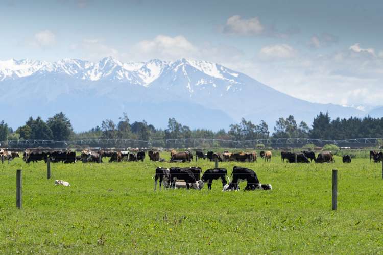 496 Boundary Road Willowby_25